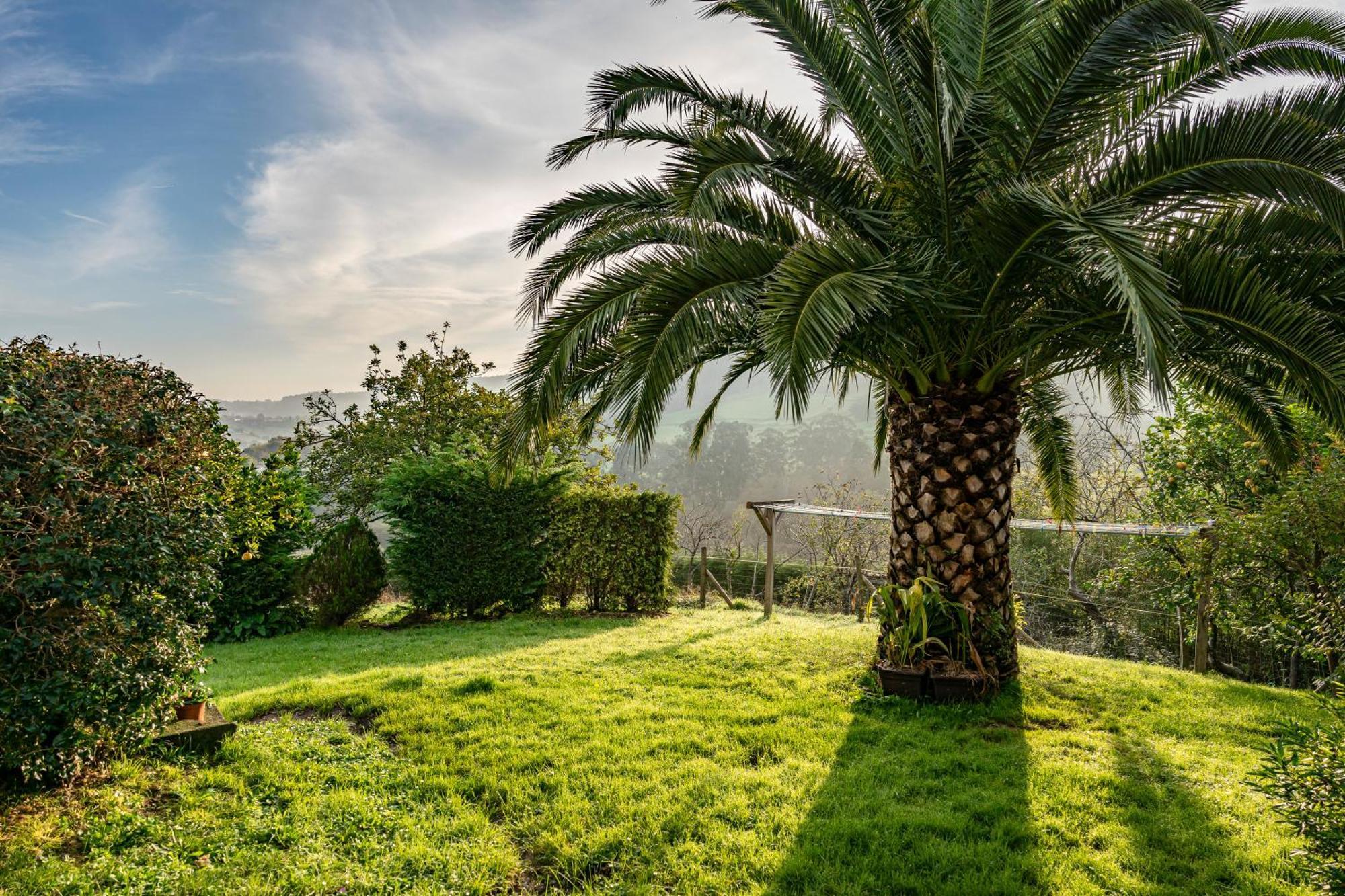 La Casina Del Fresnu Pension Onon Buitenkant foto